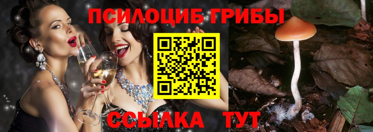Сорочинск  Галлюциногенные грибы GOLDEN TEACHER  Вход с VPN 
